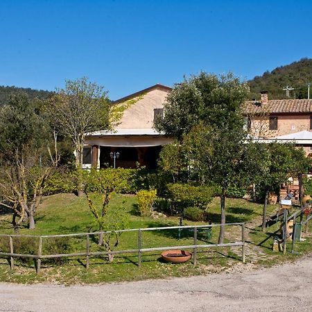 Agriturismo Torre Burchio Bettona Exterior foto
